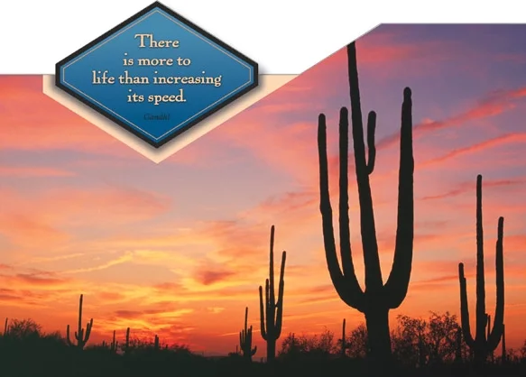 Southwestern Cactus Sunset-#12203