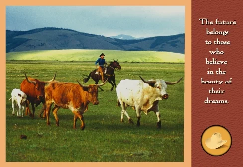 Cowboy Longhorn-#12205