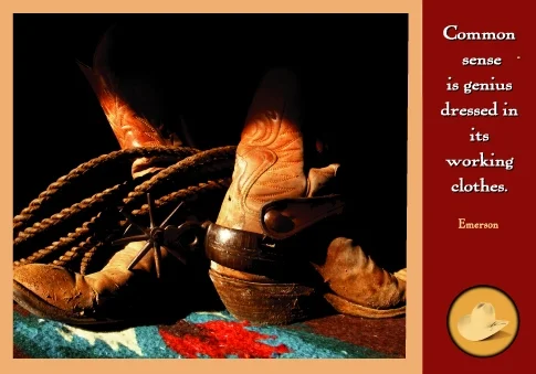 Southwestern Boots-#12201