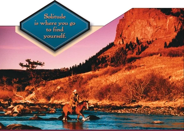 Cowboy Stream #12102