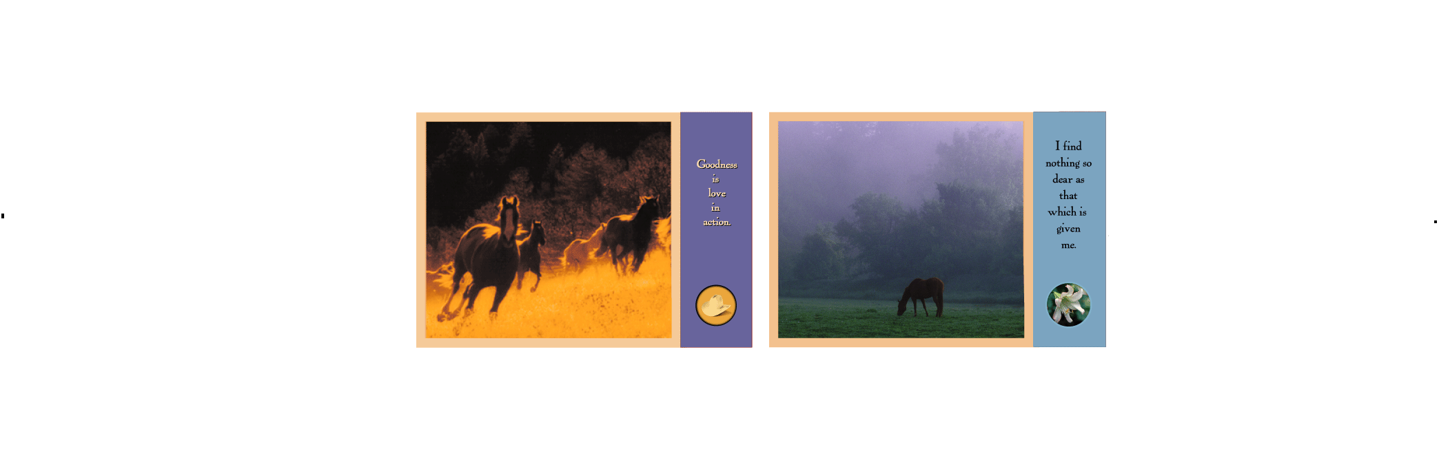 Western Thank You Series 1 Blank Box Set-#20000