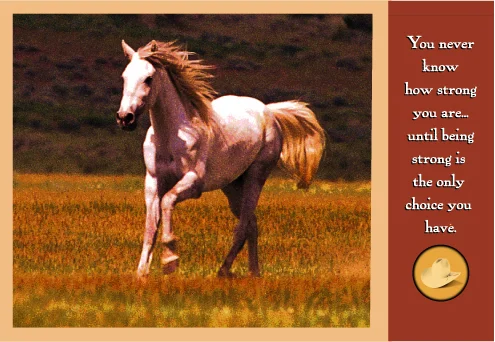 Horse White-#40139