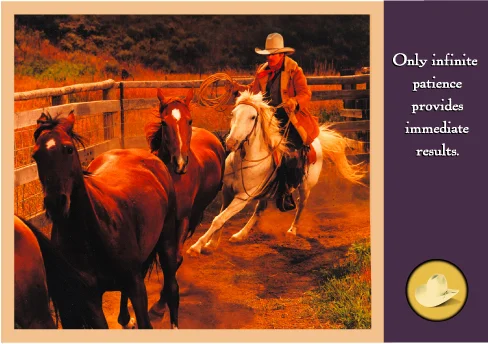 Cowboy Corral-#40129