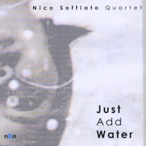 nicosoffiatoquartet.jpg
