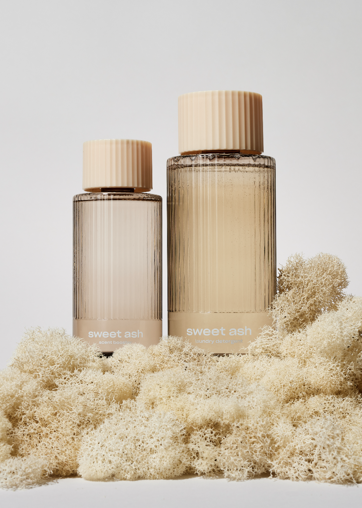 Screenshot 2026-01-27 at 11.59.01 AM.png