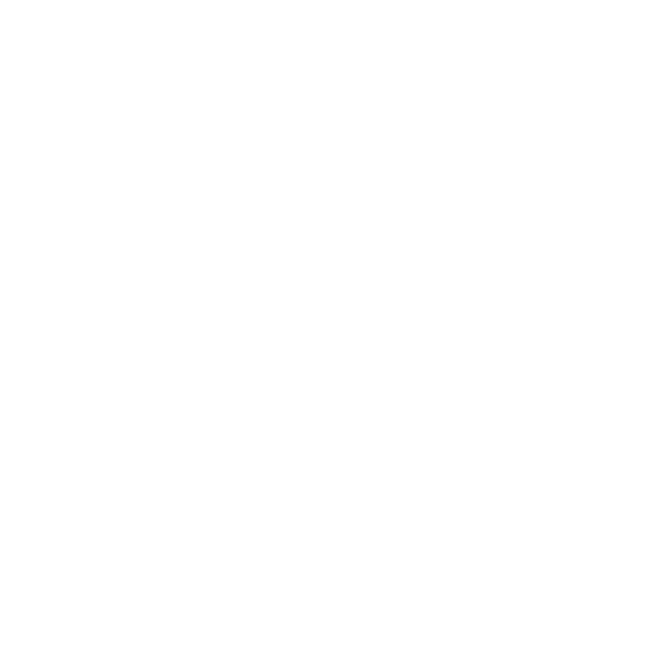Freeskier.png