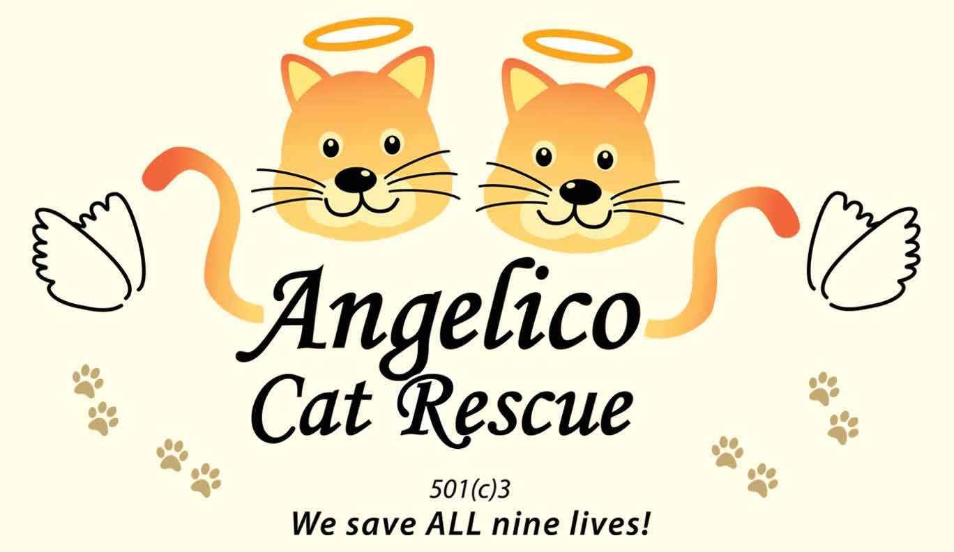 Angelico Cat Rescue