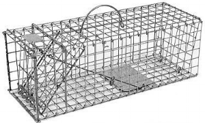 Conventional Trap