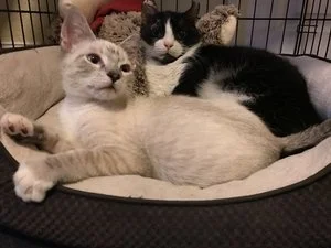 He's Always inviting his friends over to hangout with him.