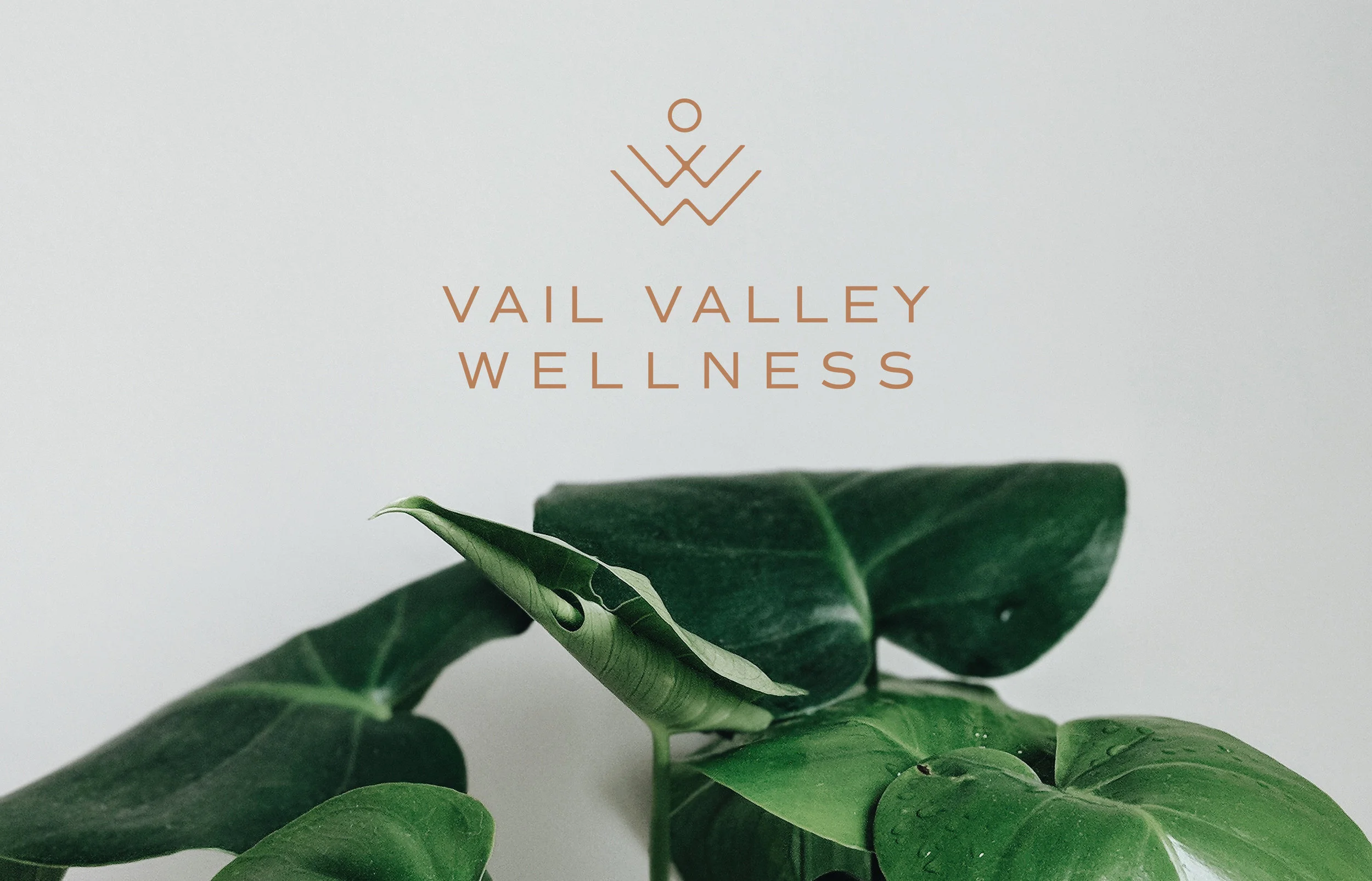 vvw-header.jpg