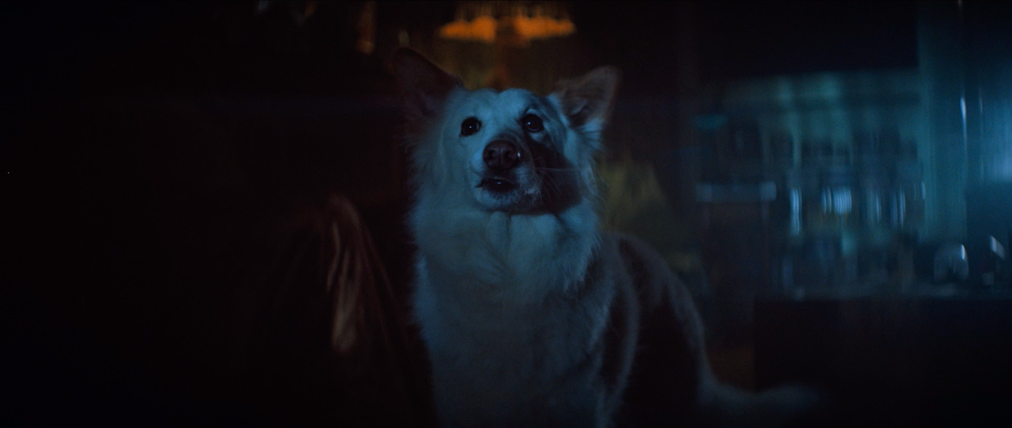 Screen Shot 2019-04-23 at 10.23.16 PM.png