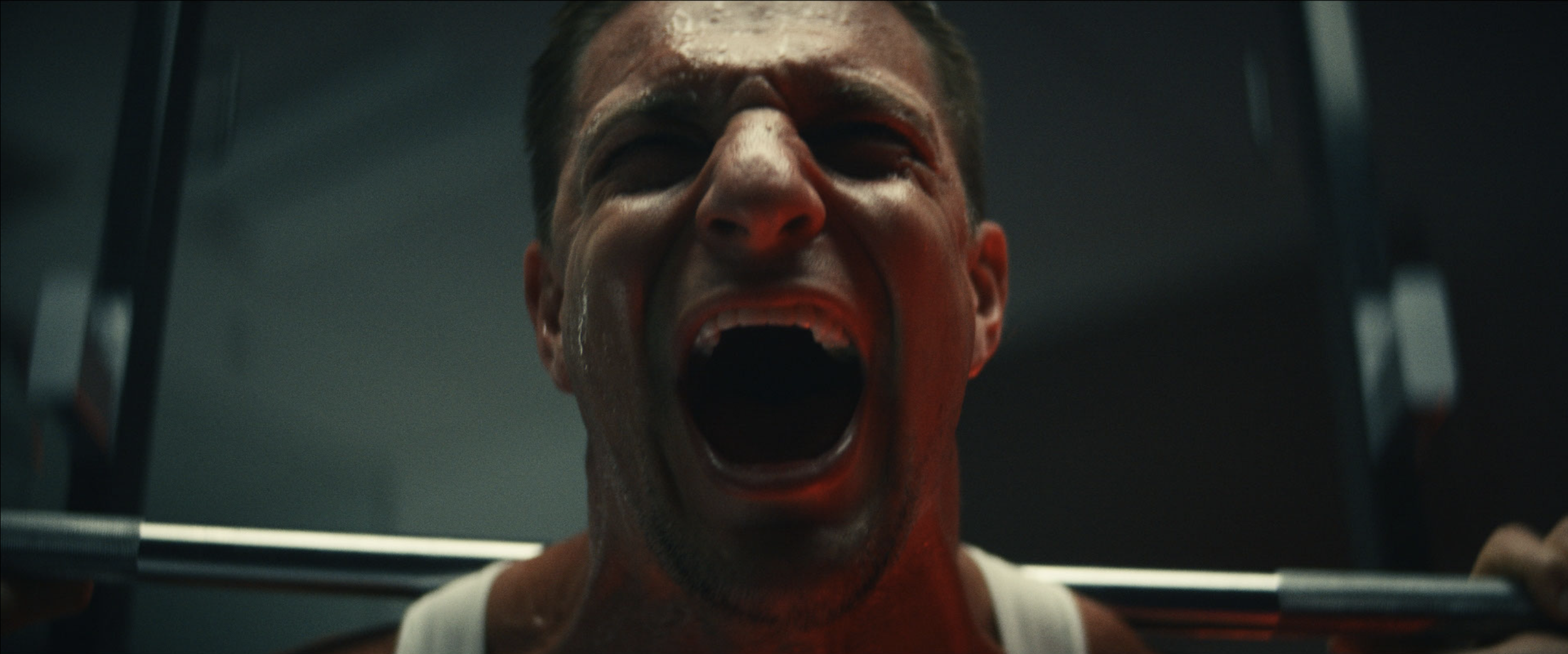 Screen Shot 2023-01-26 at 10.38.43 AM.png