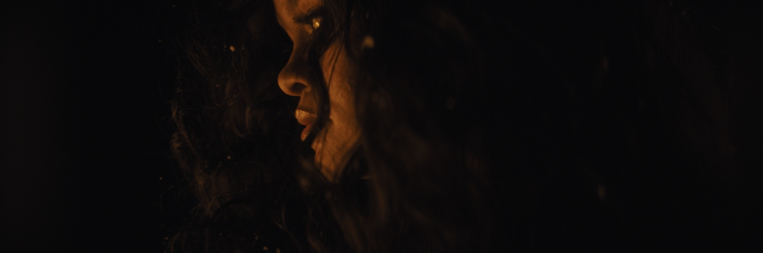 Screen Shot 2023-05-18 at 10.14.11 AM.png