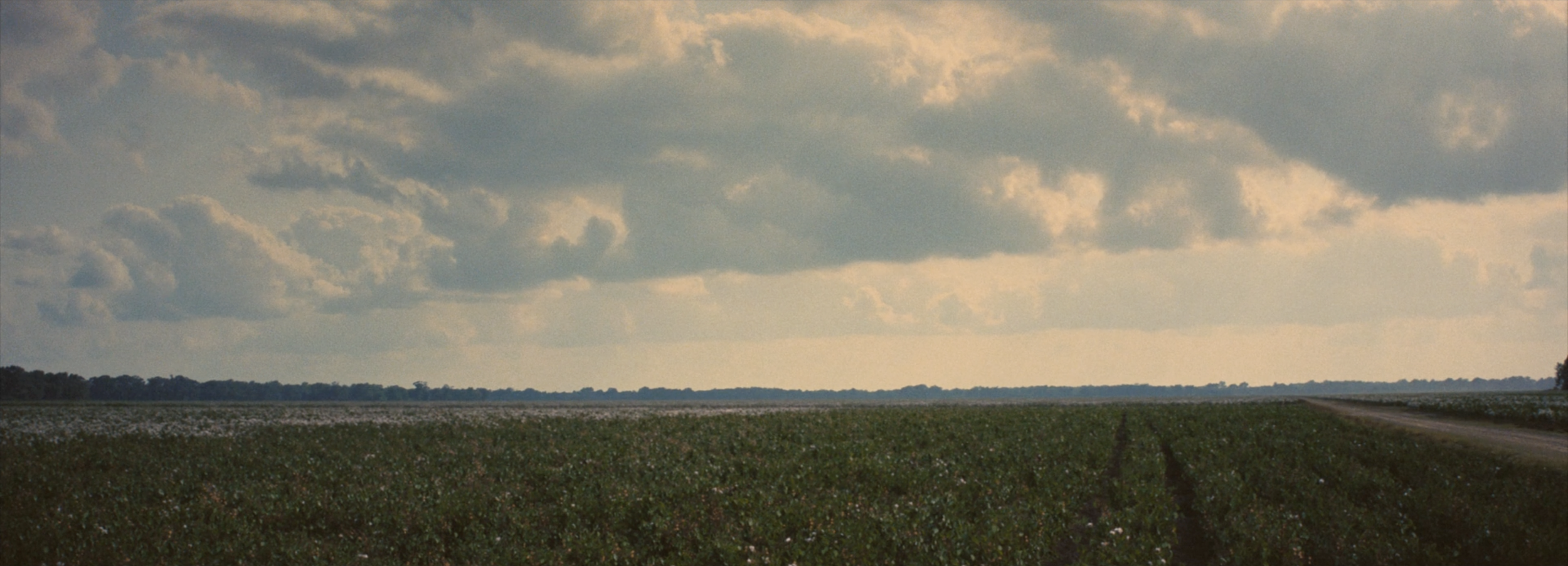 Screenshot 2024-10-10 at 8.40.56 AM.png