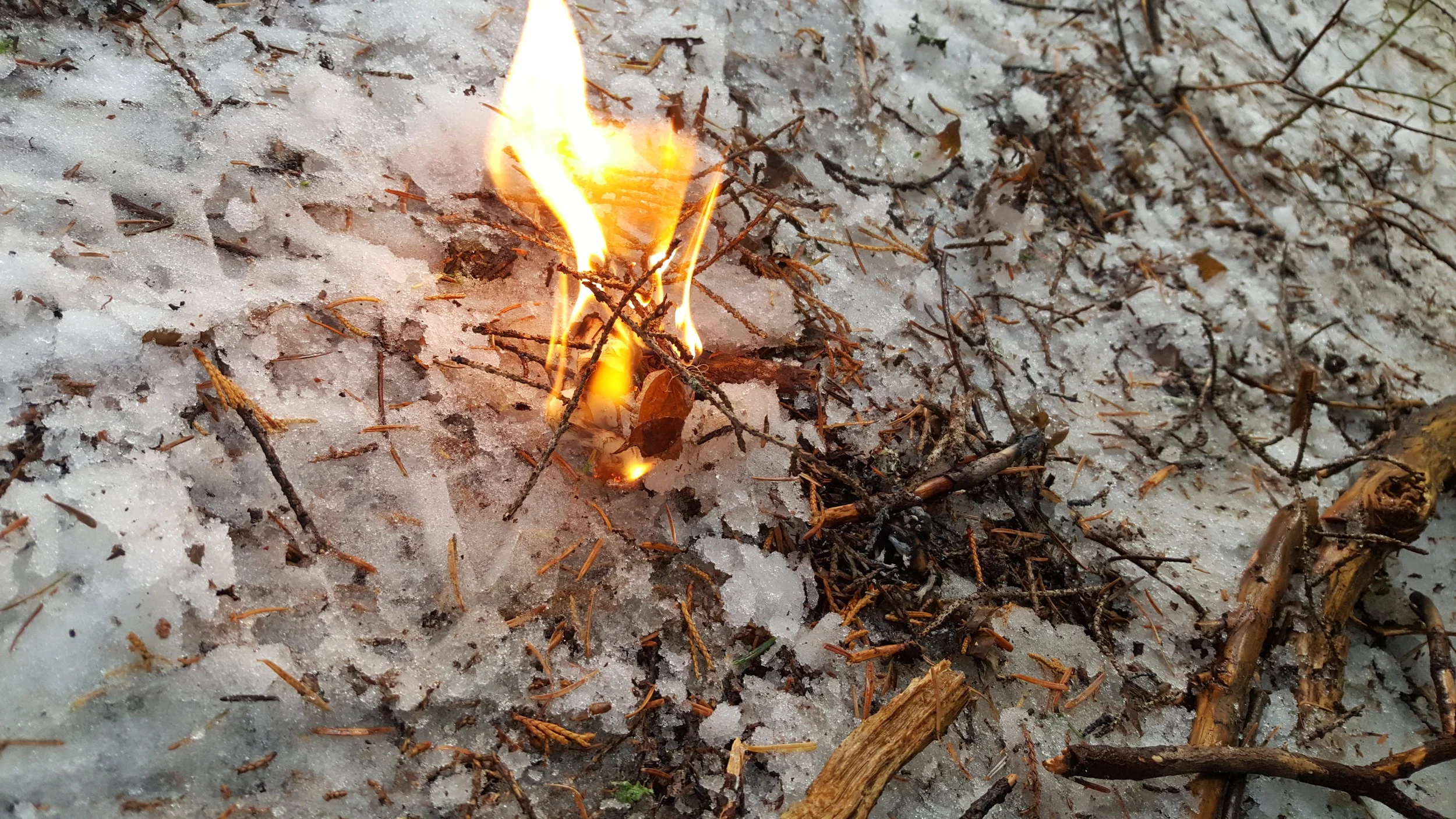 If I really needed a fire, I'd clear or build a proper base. Even on snow, though, my young flame is growing nicely.