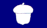 treasurer-Flag.gif