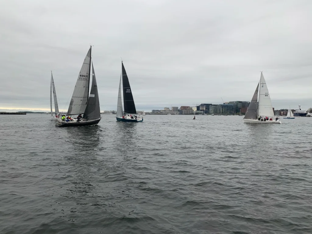 IMG_4264.jpg