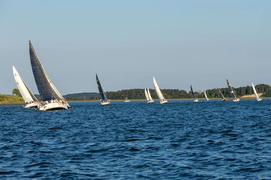 IMG_4420.jpg