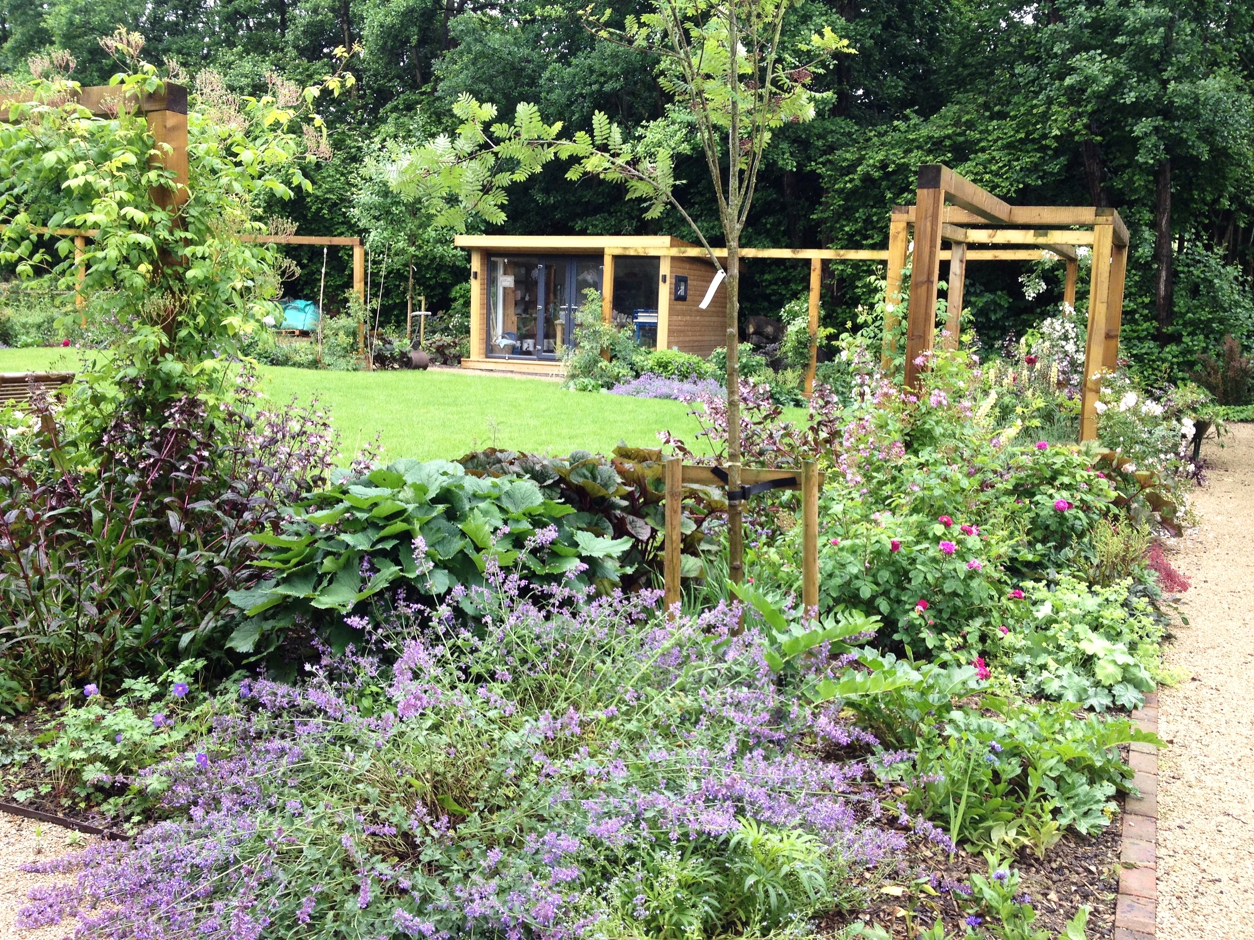 Perennials & Rose Pergola