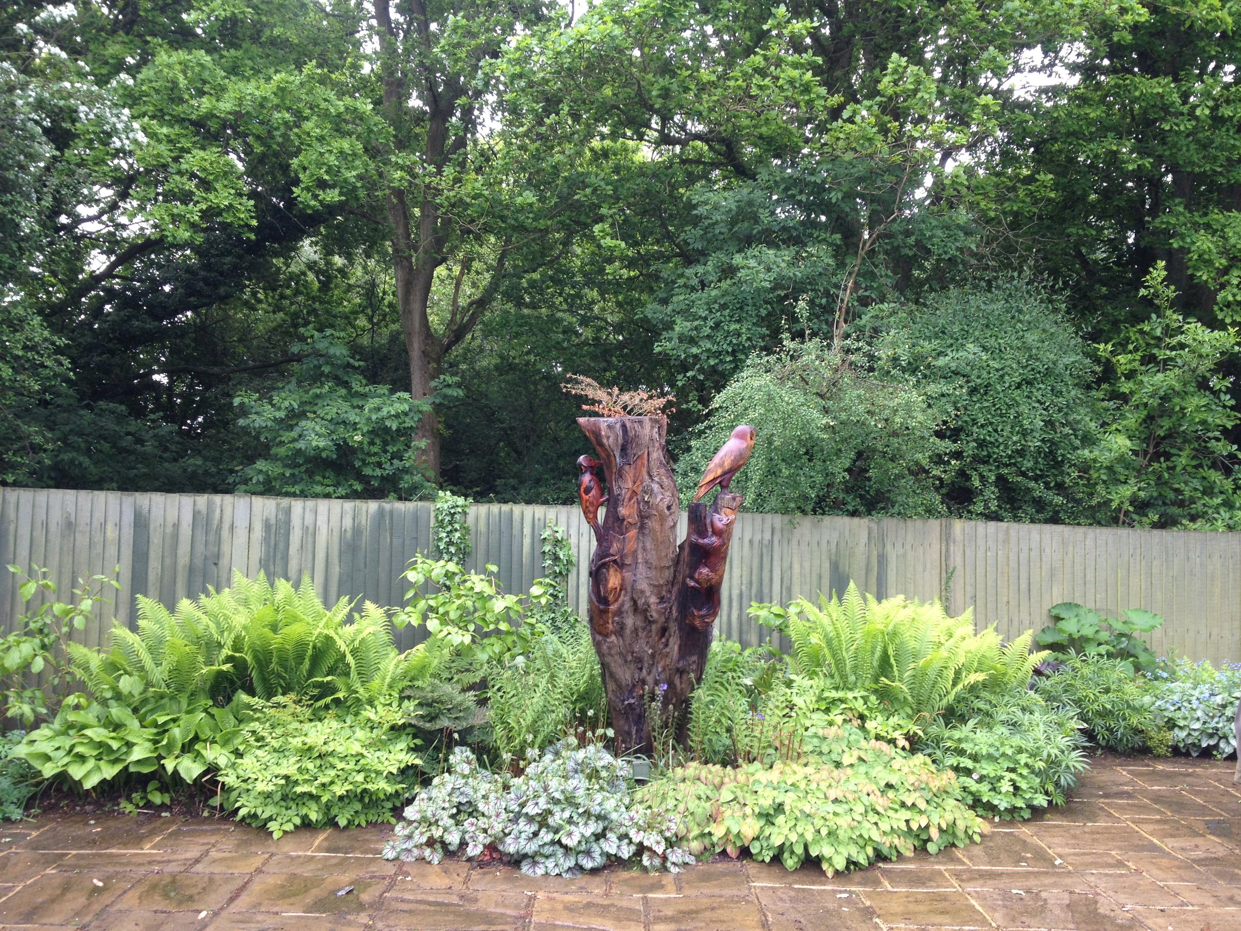 Sculpture & Shade Planting