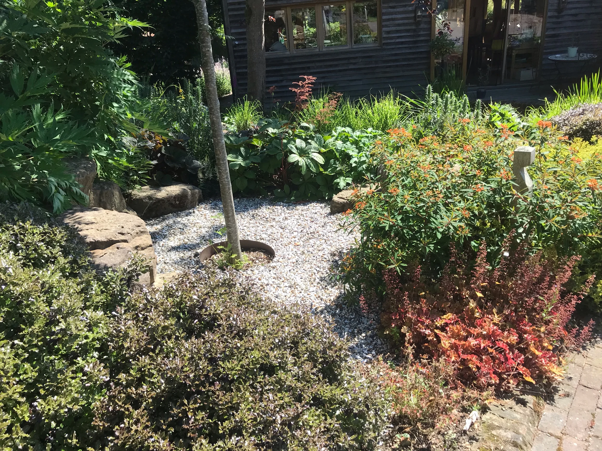 IMG_5664.jpeg