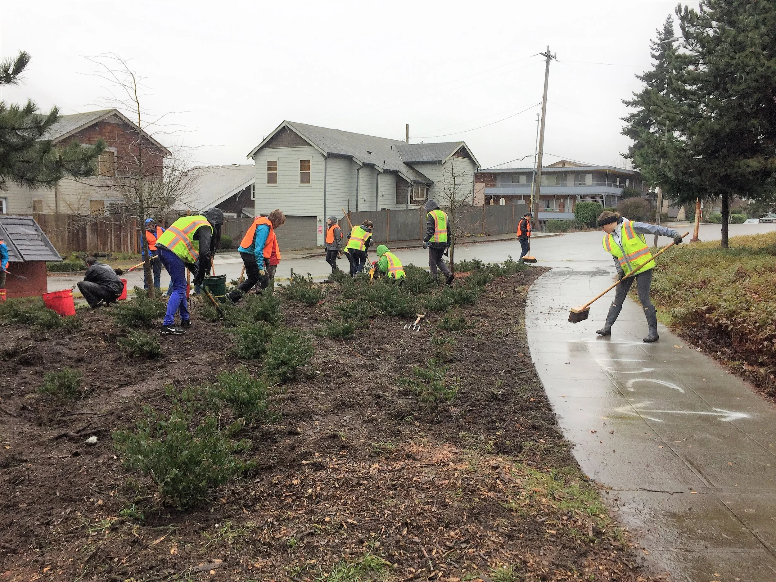 Volunteers helped clean up the site after removing invasive weeds in the Wallingford neighborhood of Seattle. | Image of Wallingford Work Party via Trees for Seattle .