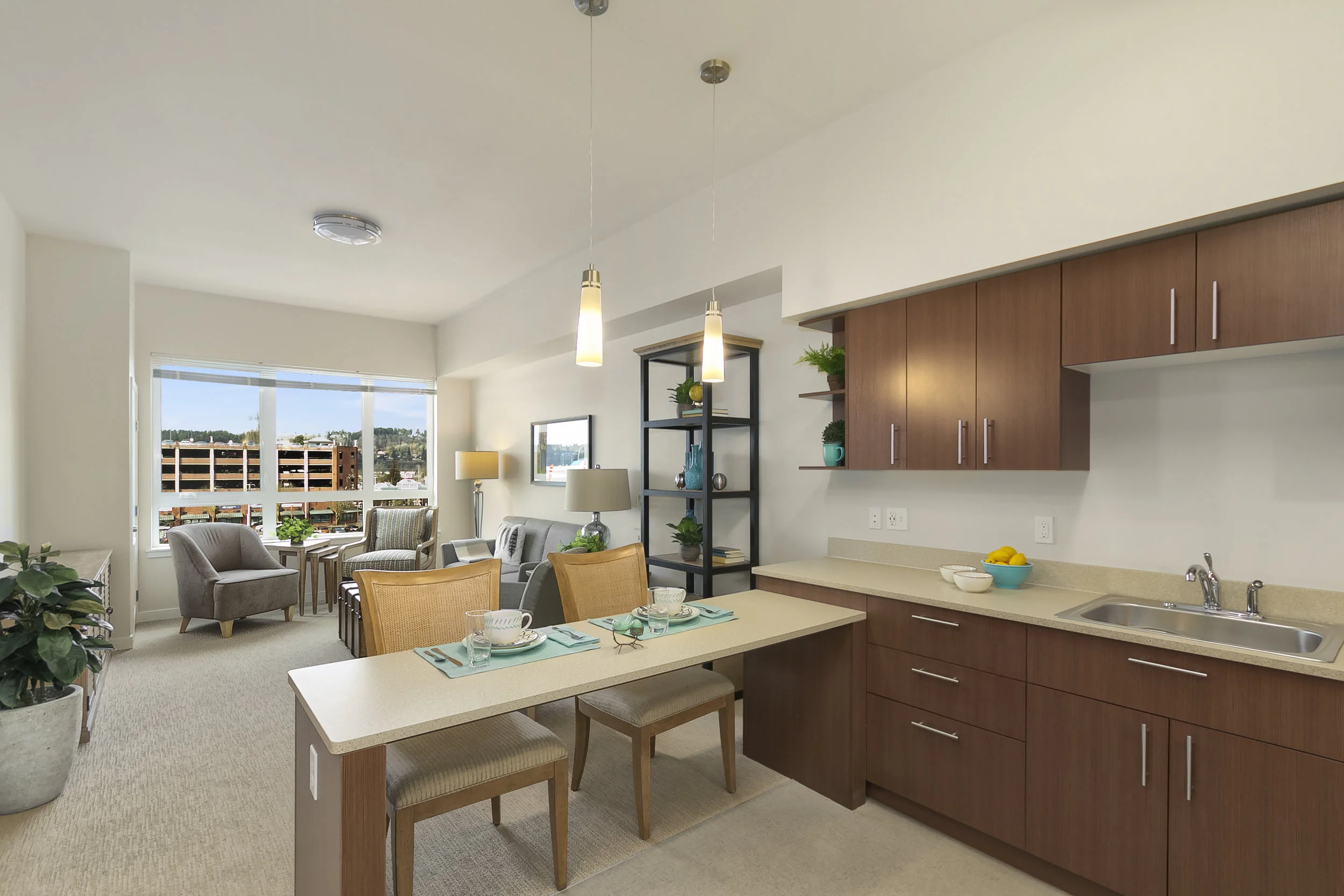 One-bedroom Unit - Living room / Kitchen 