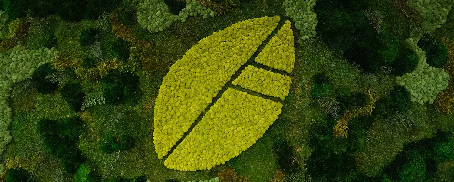 banner_seattle2024_moss.jpg