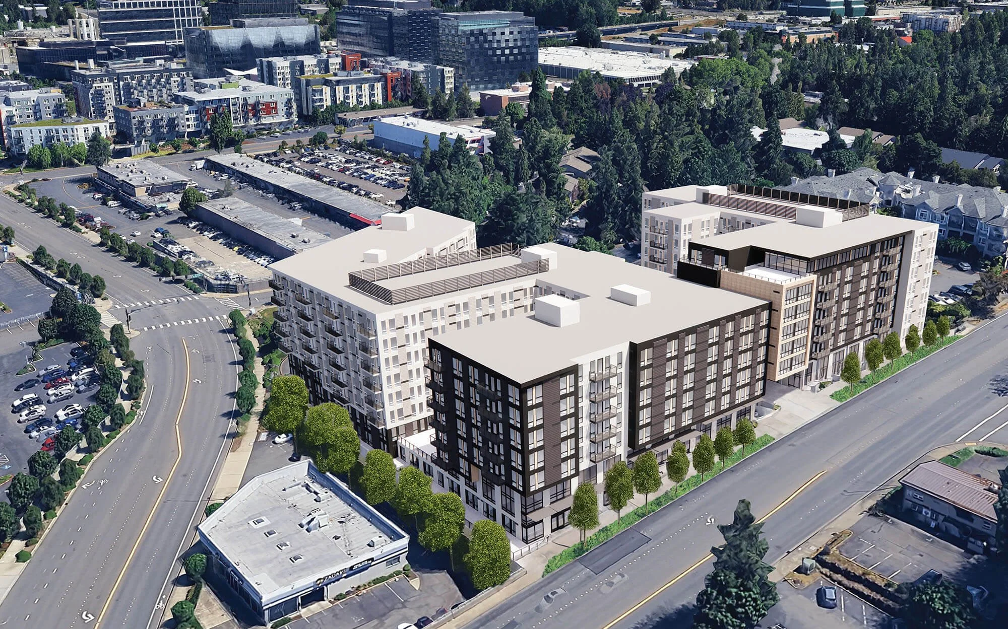 Birds-Eye Perspective Edited_trees.jpg