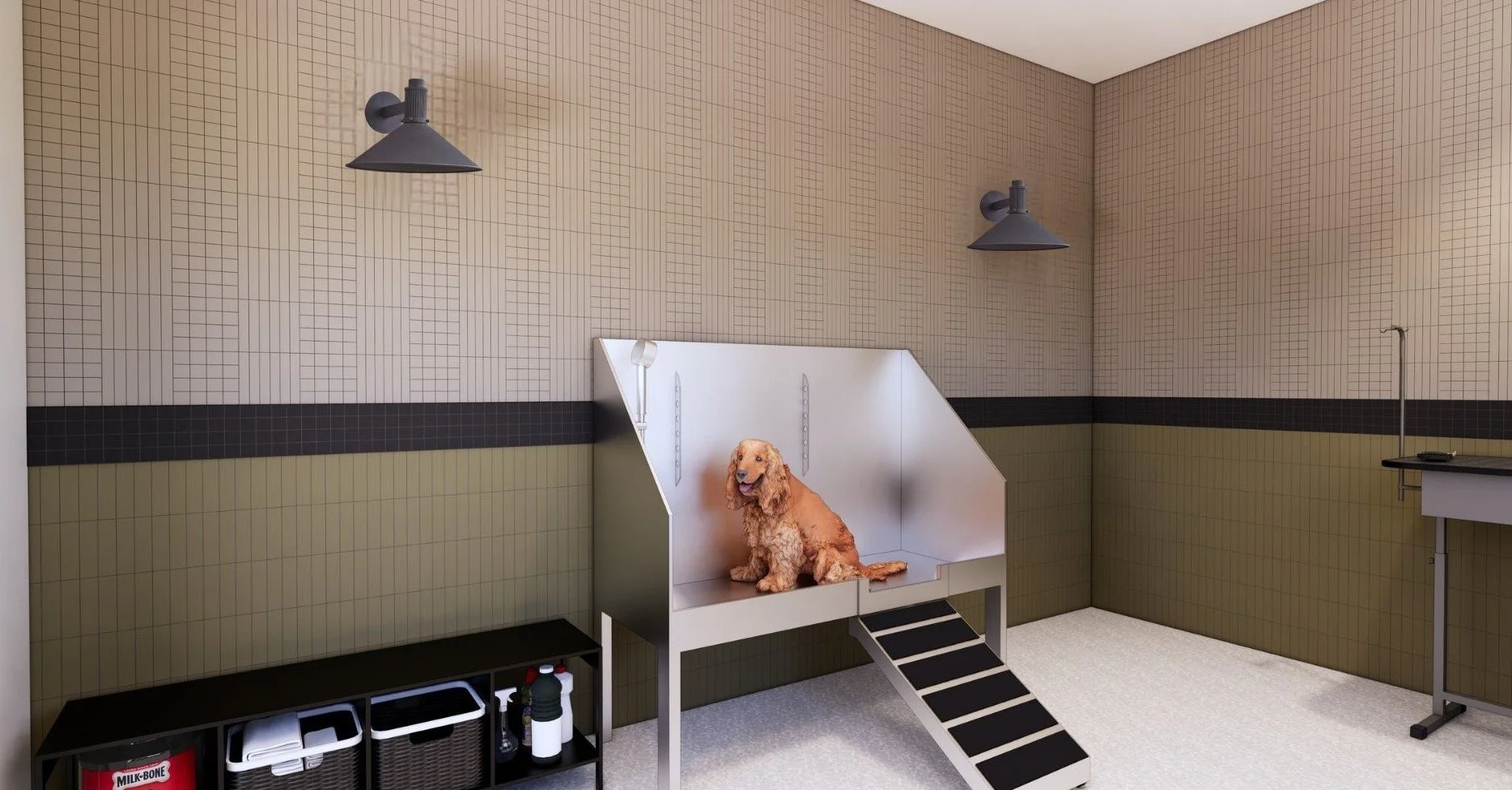 DOG WASH.jpg