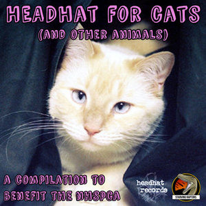 headhat+for+cats.jpg