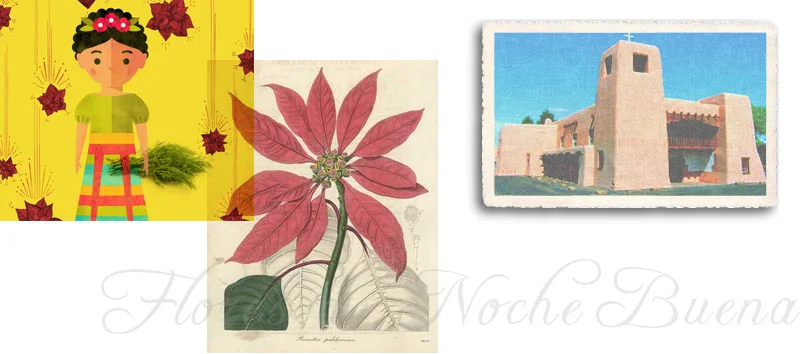 MexicoCollage.jpg