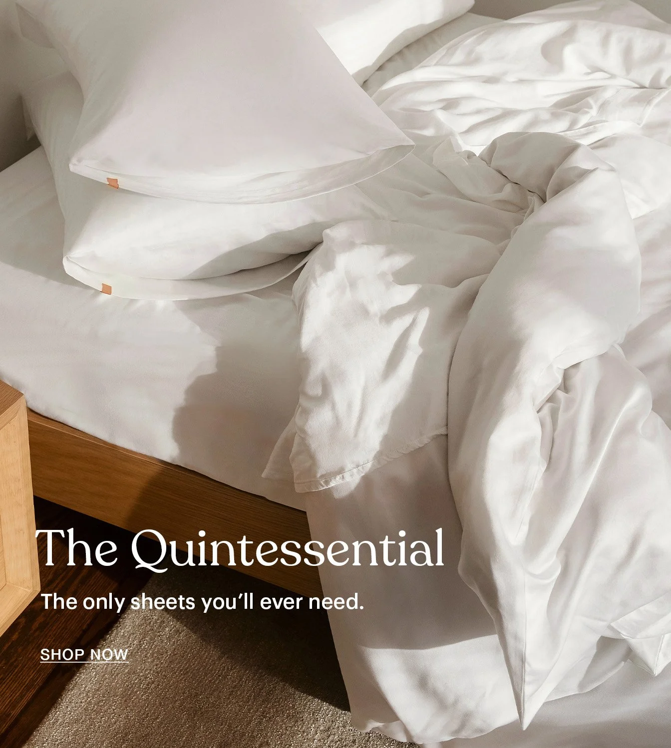 The only sheets you’ll ever need_ (1).jpg