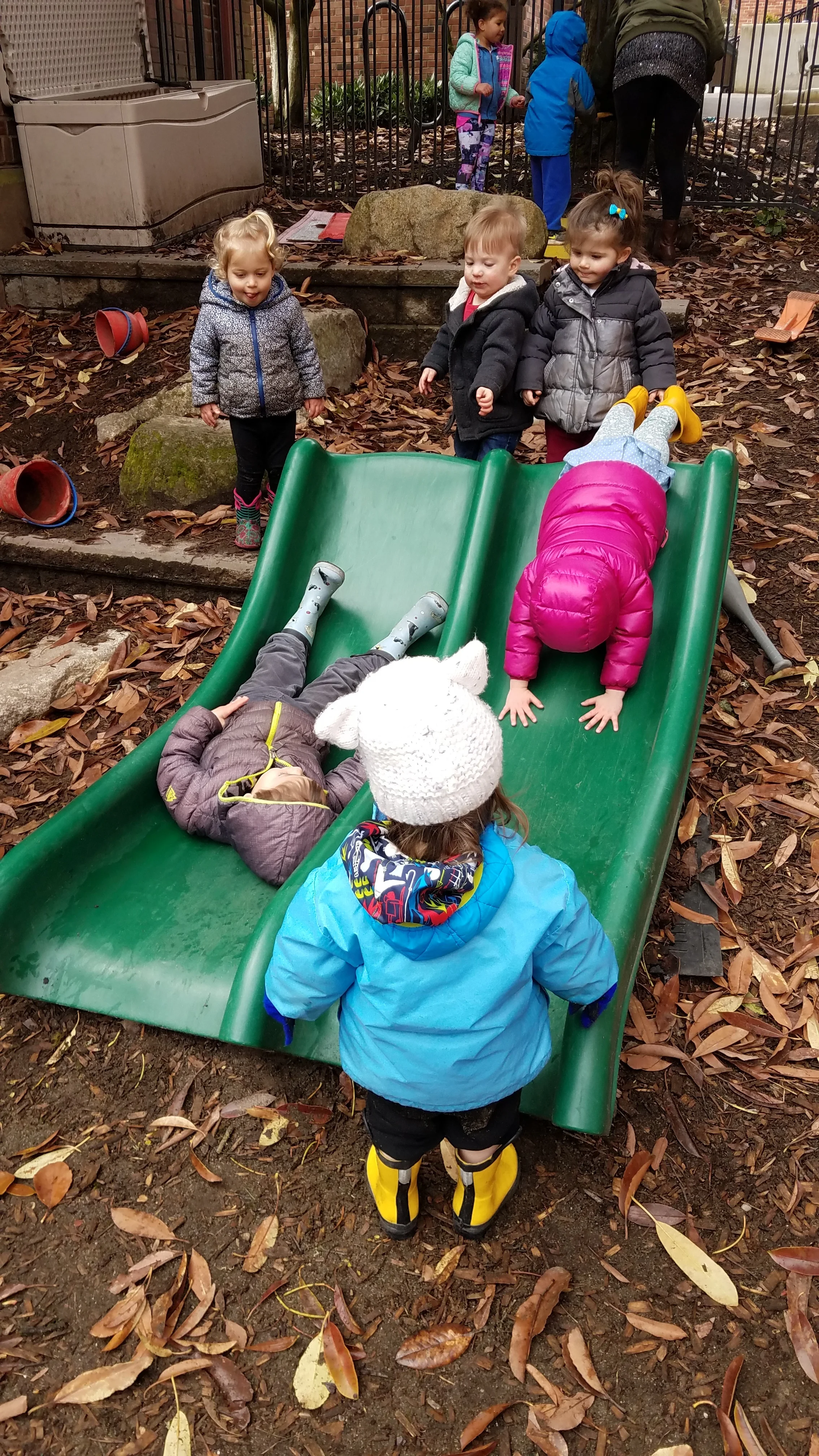 Trillium on the slide.jpg