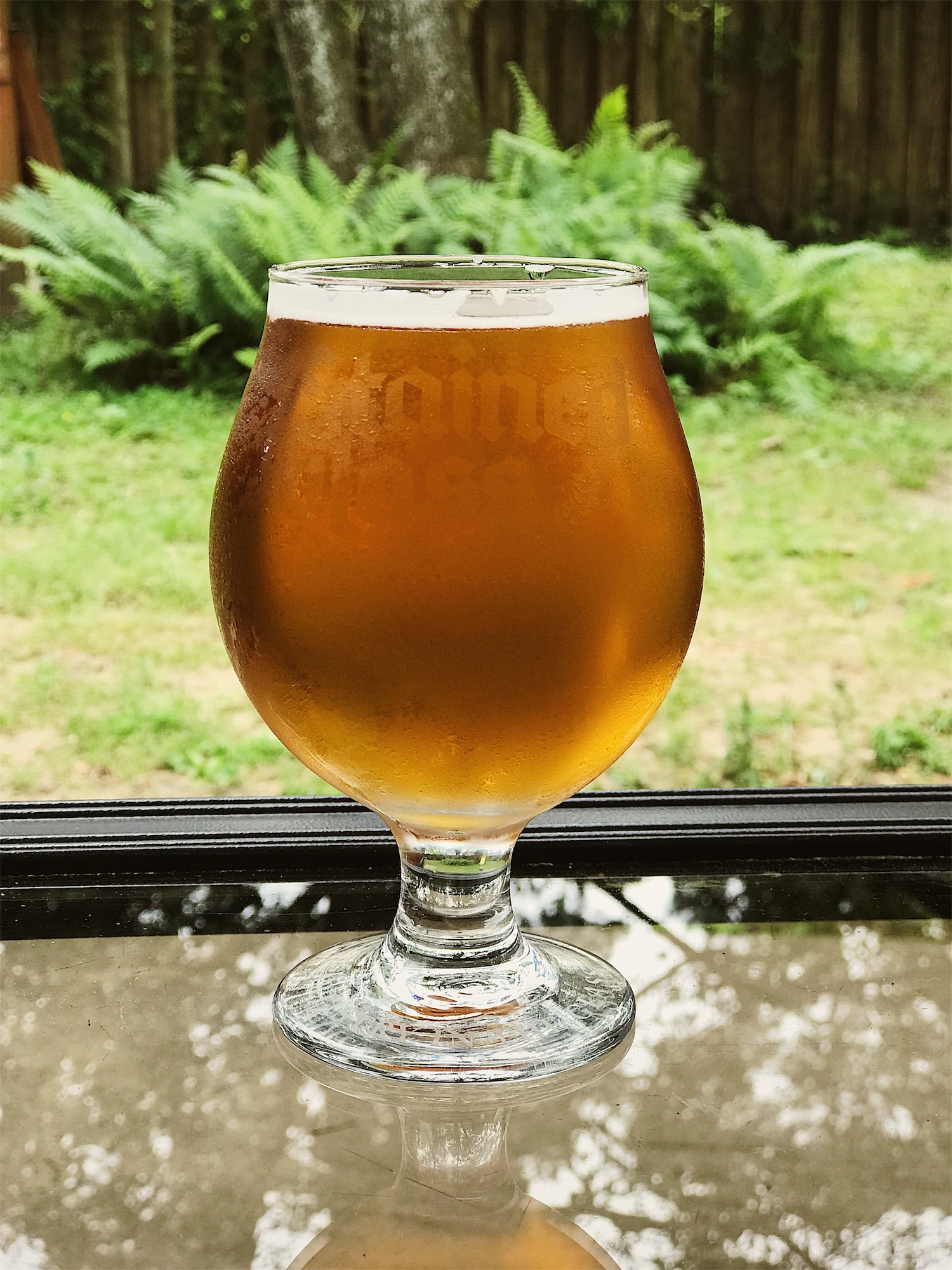 Taste & See, Honey Kolsch - 5.1%