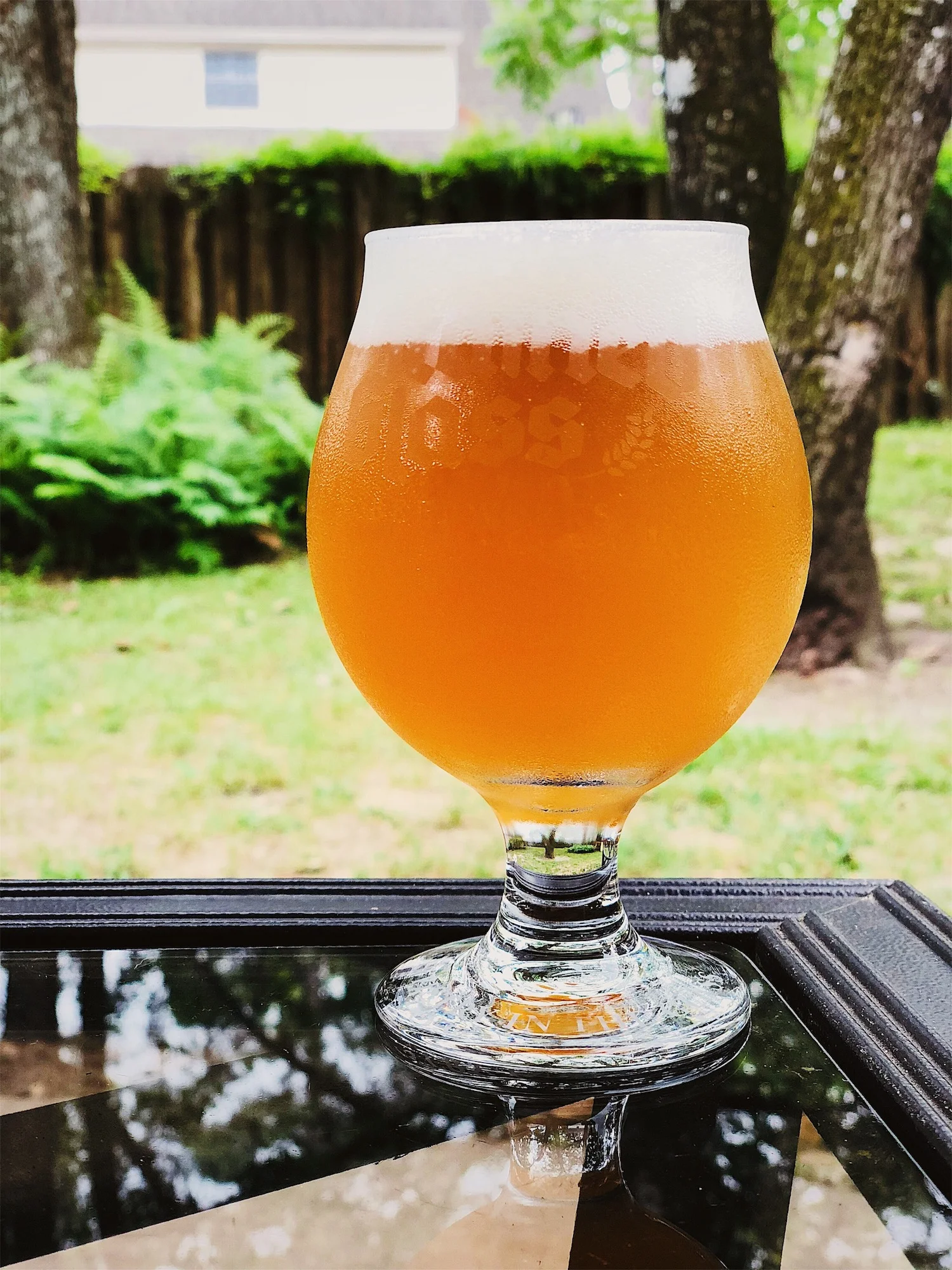 Disapproving Eyes, India Pale Ale - 6.5%