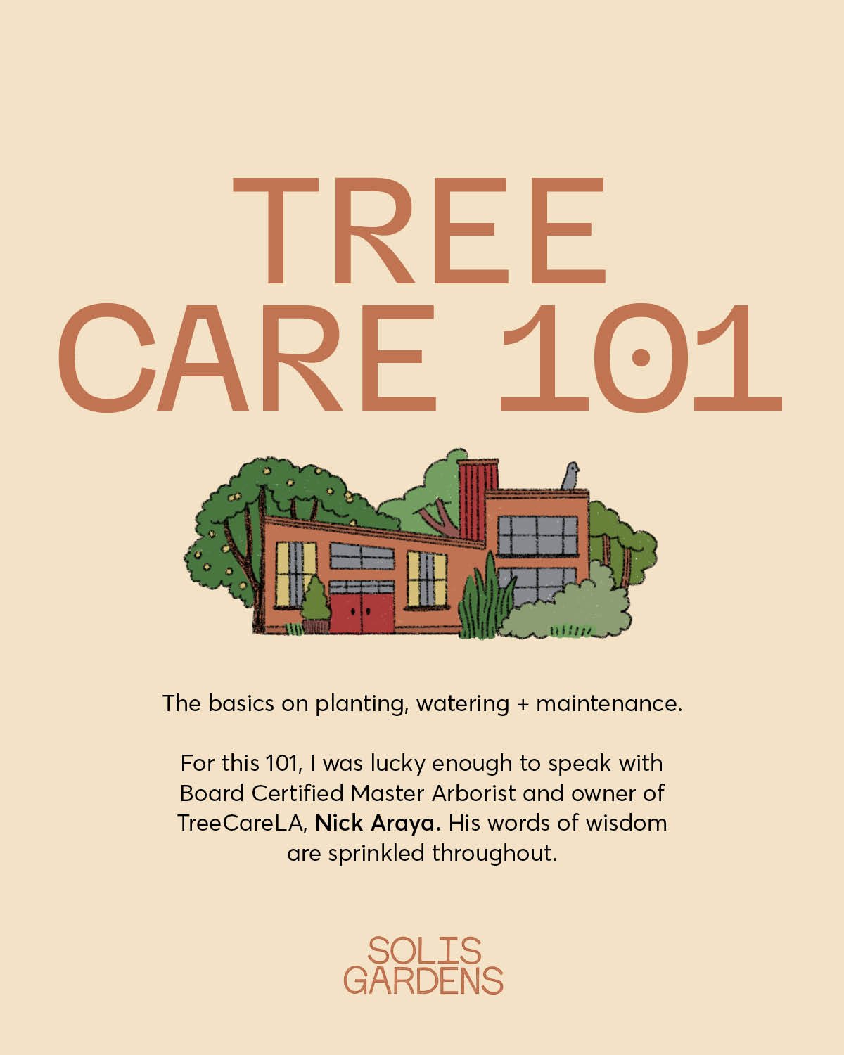 Tree Care 101