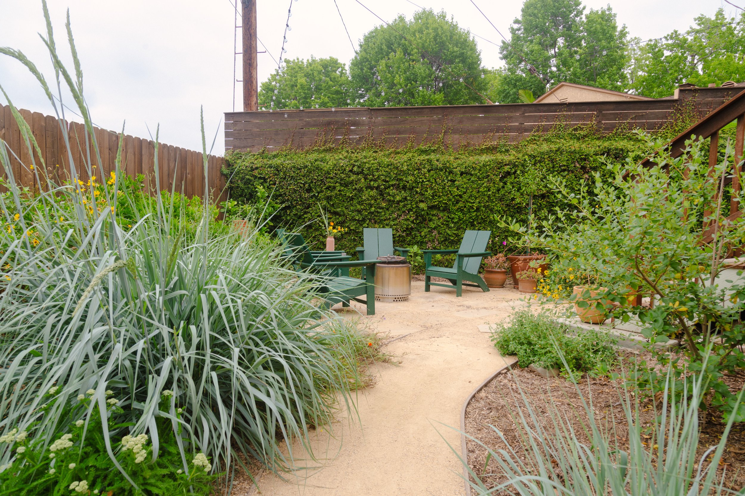 Meditative backyard with California natives designed by Solis Gardens