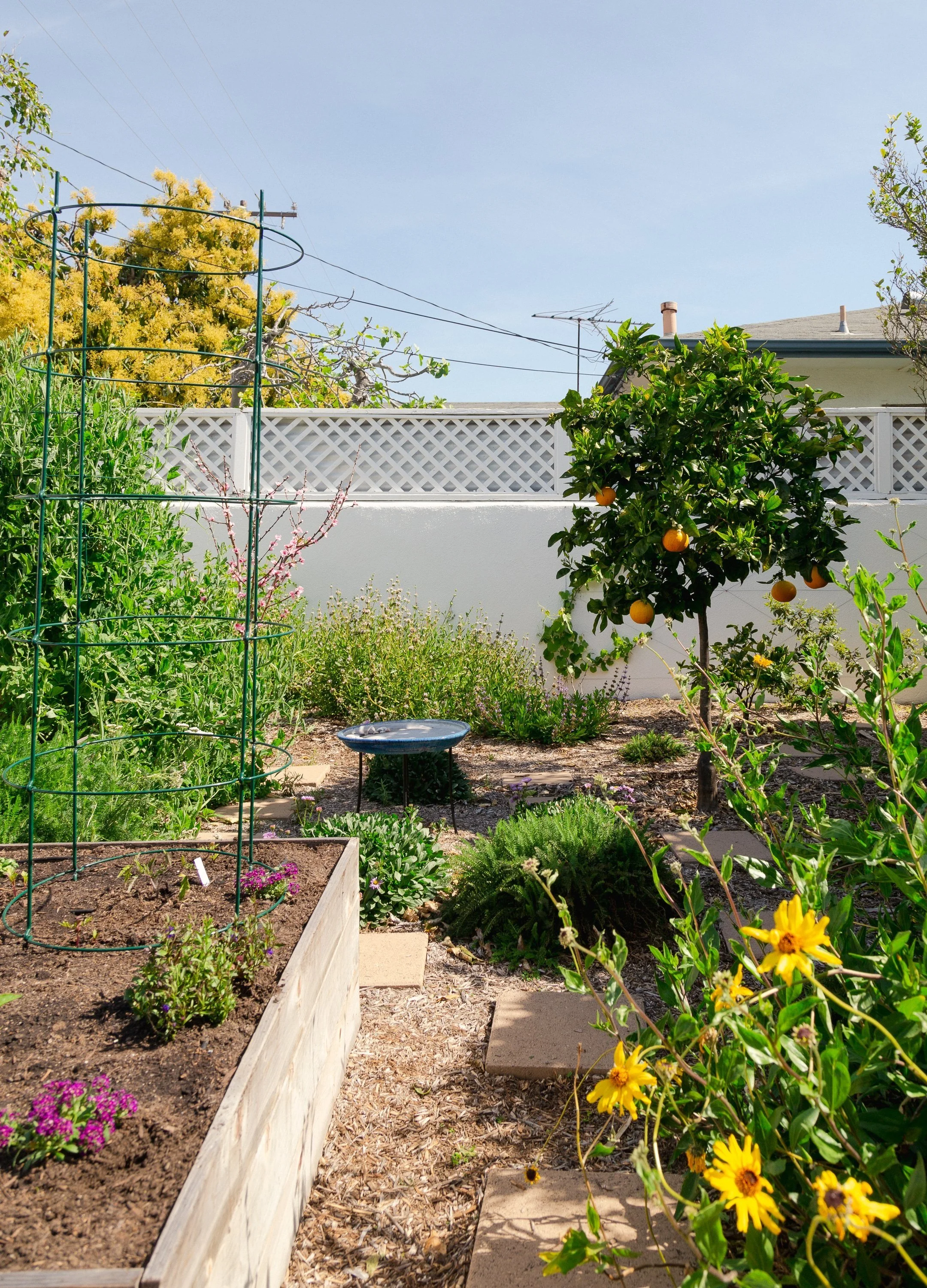 Urban Farms LA