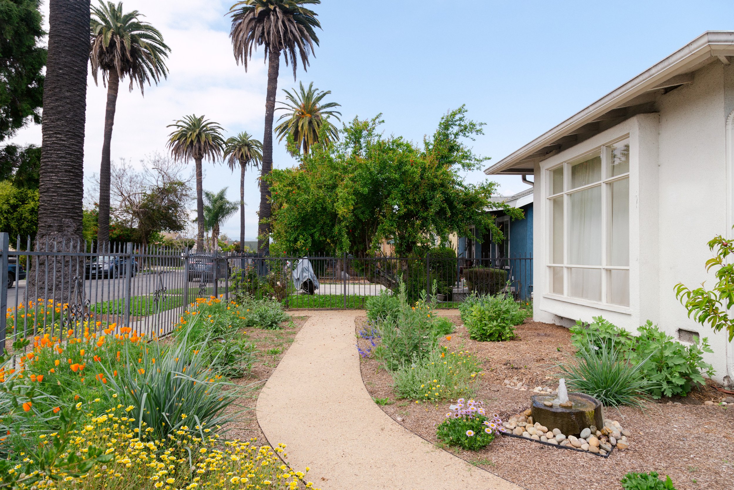 Urban Farms LA native gardens los angeles.jpeg