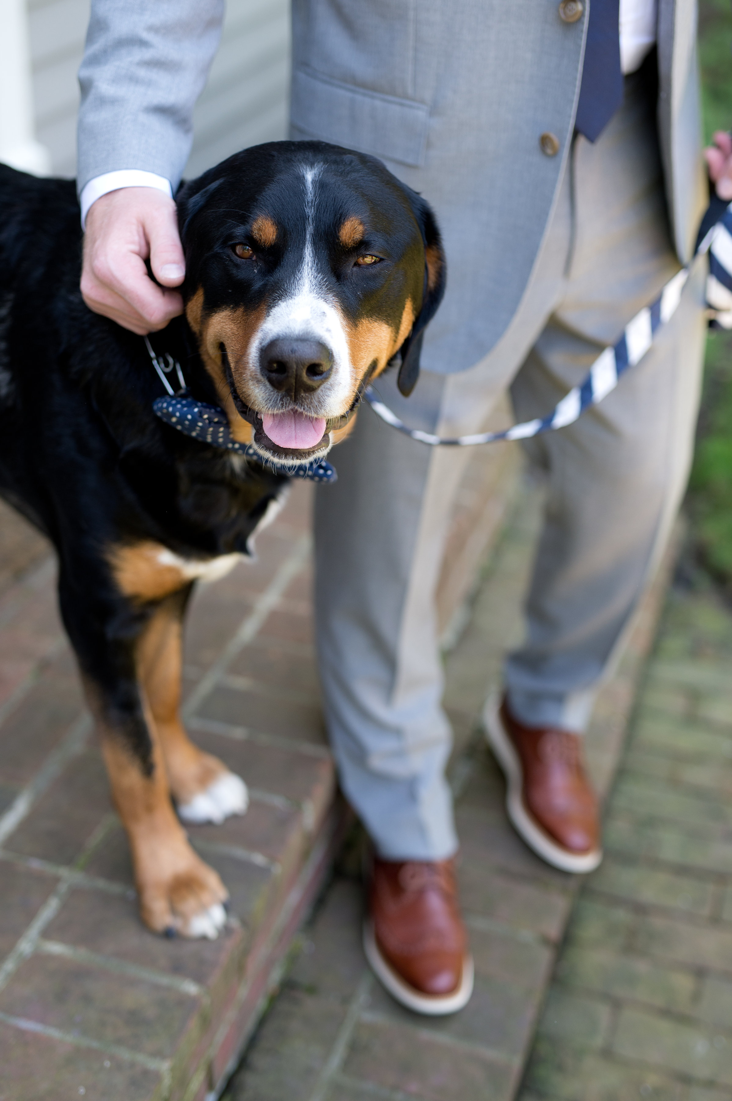 The bride and groom’s beloved Brody was by Pat’s side as he processed down the aisle.