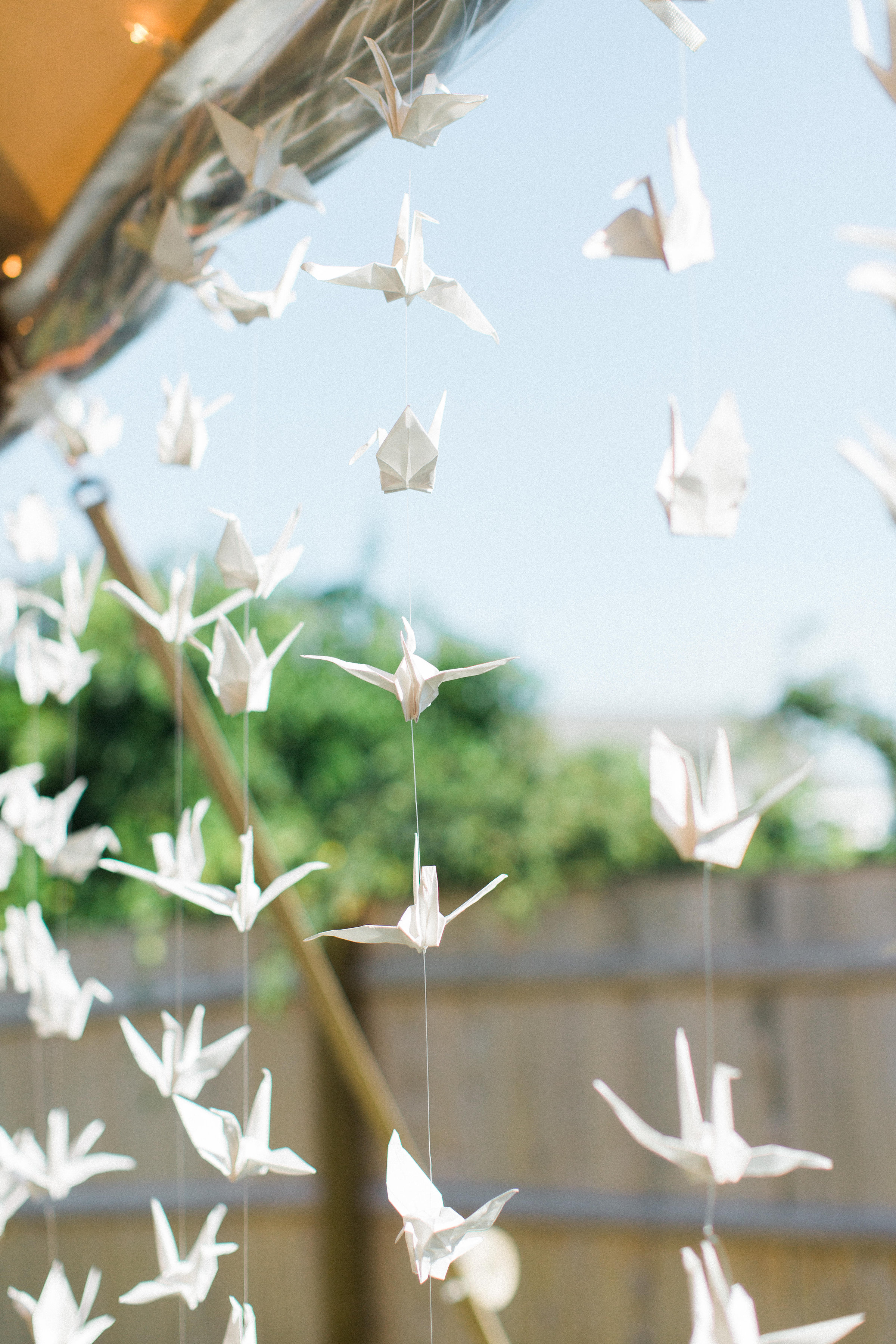1000 origami paper cranes were strung within the tent for good luck- a nod to the Groom's time stationed in Japan