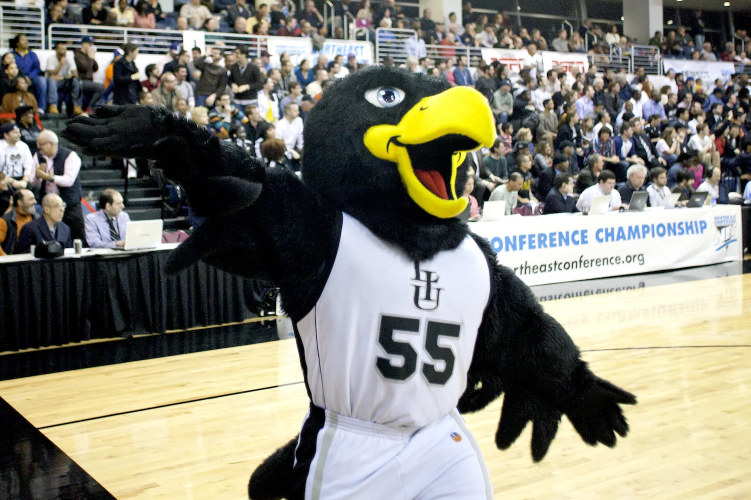 LIU Blackbird - coming to a pool near you next spring! Photo Courtesy: LIU Brooklyn Athletics