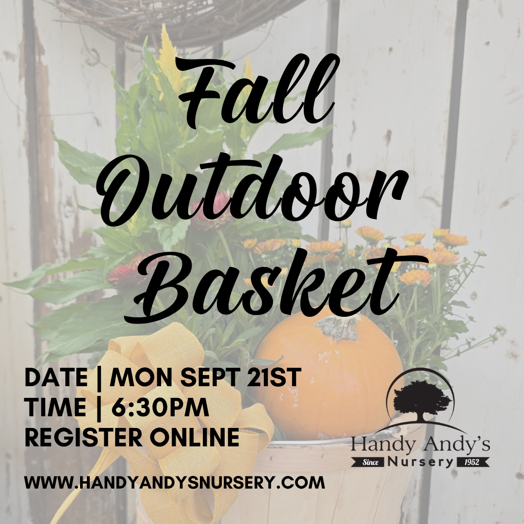 FALL OUTDOOR BASKET