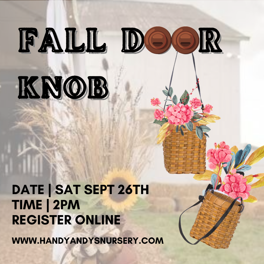 FALL DOOR KNOB BASKET