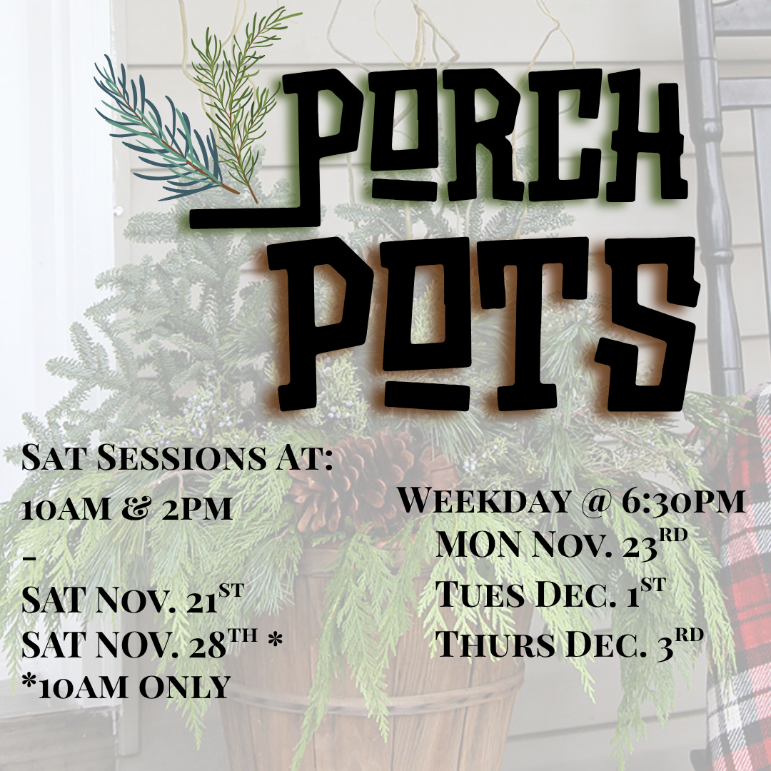 PORCH POTS