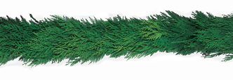 Western Red Cedar Garland