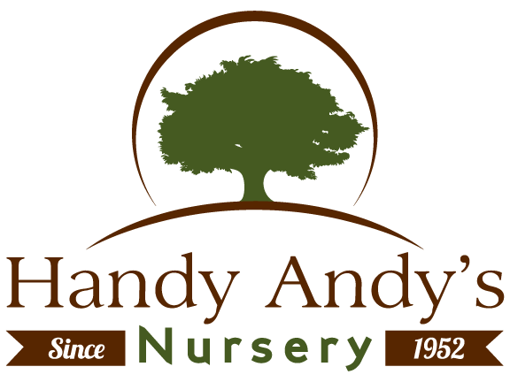 6inHandyAndyNurseryLogoClr.gif