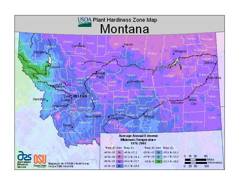 MT USDA Hardiness Map.jpg