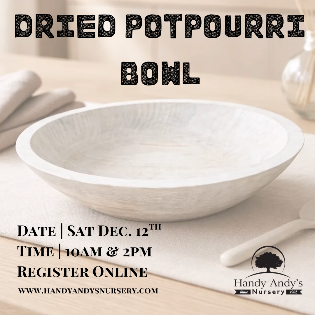 DRIED POTPOURRI BOWL